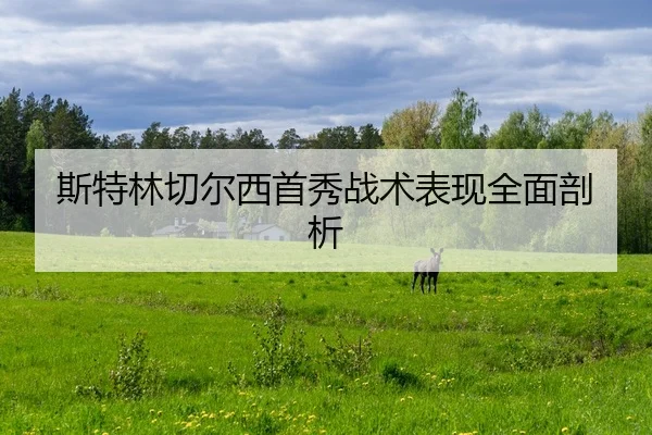 斯特林切尔西首秀战术表现全面剖析