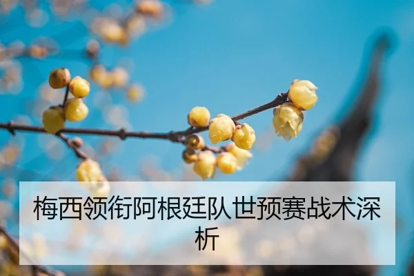 mei-xi-ling-xian-a-gen-ting-dui-shi-yu-sai-zhan-shu-shen-xi-2-627.jpg