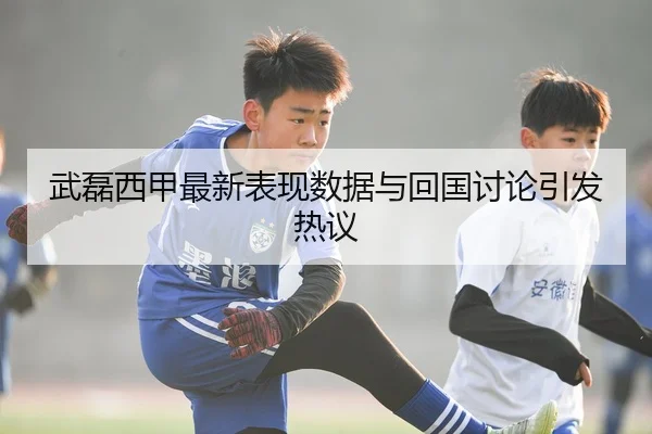 武磊西甲最新表现数据与回国讨论引发热议